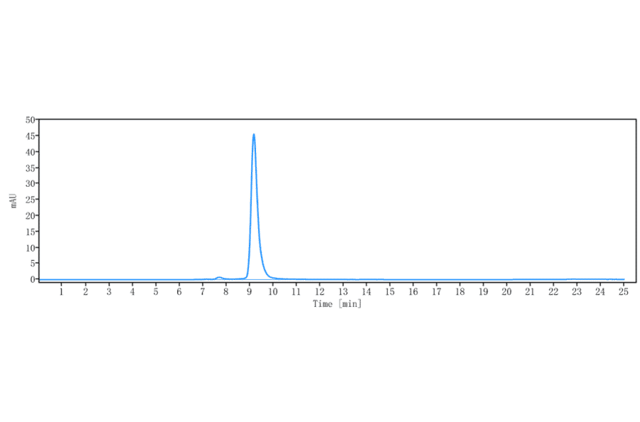 SEC-HPLC - Anti-RON Antibody [Research Grade Biosimilar] - Low endotoxin, Azide free (A324209) - Antibodies.com