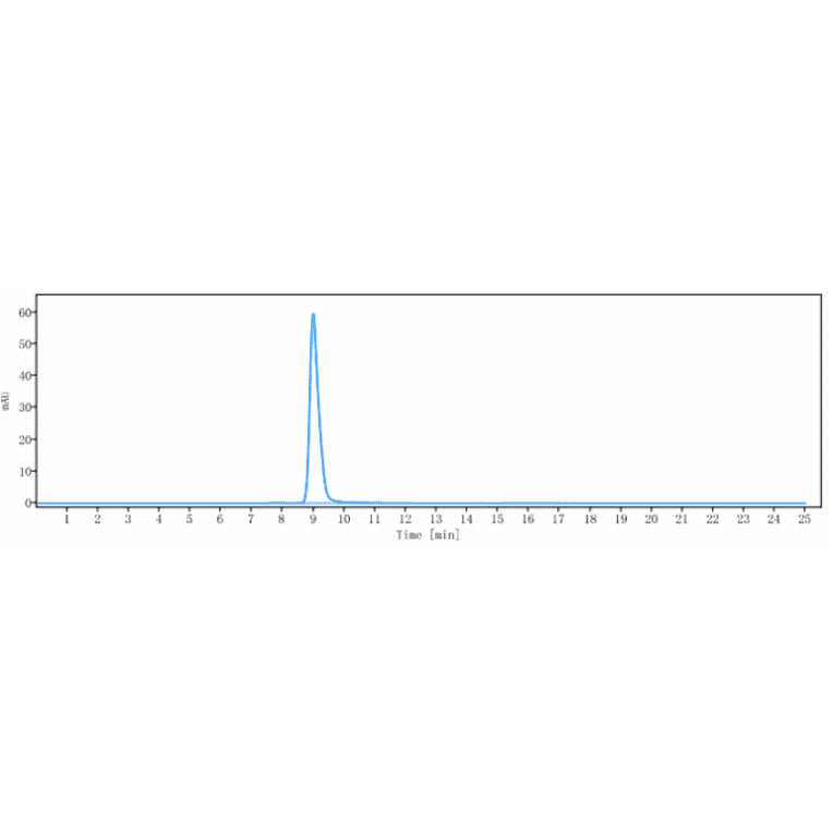 SEC-HPLC - Anti-SIGLEC15 Antibody [NC318] - Low endotoxin, Azide free (A324238) - Antibodies.com