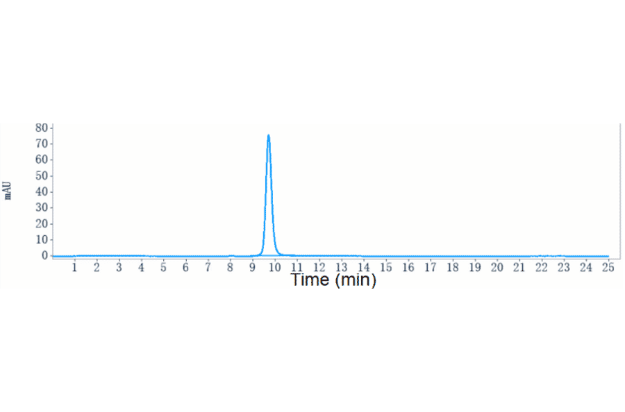 SEC-HPLC - Anti-SIGLEC15 Antibody [AB-25E9] - Low endotoxin, Azide free (A324239) - Antibodies.com