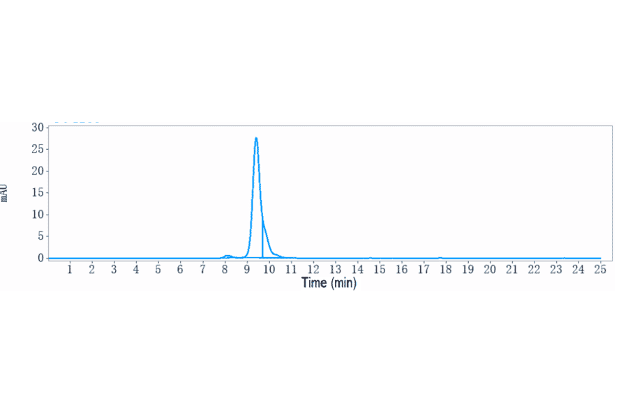 SEC-HPLC - Anti-SLAMF6 Antibody [SGN-CD352A] - Low endotoxin, Azide free (A324242) - Antibodies.com