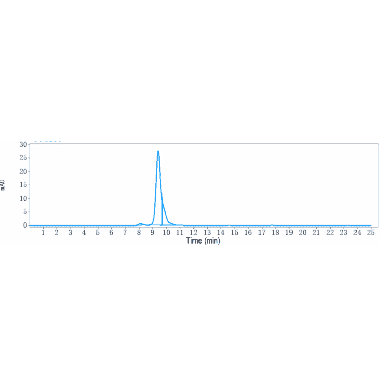 SEC-HPLC - Anti-SLAMF6 Antibody [SGN-CD352A] - Low endotoxin, Azide free (A324242) - Antibodies.com