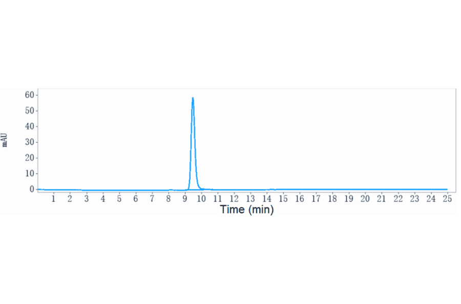 SEC-HPLC - Anti-SLC44A4 Antibody [ASG-5ME] - Low endotoxin, Azide free (A324247) - Antibodies.com