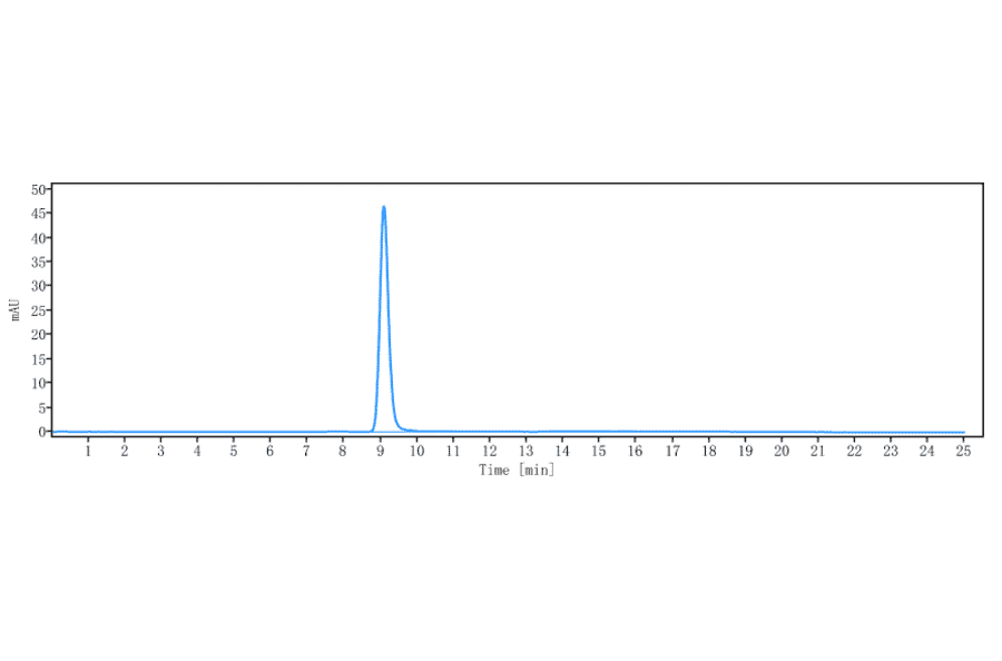 SEC-HPLC - Anti-TGF beta 1 Antibody [Research Grade Biosimilar] - Low endotoxin, Azide free (A324253) - Antibodies.com