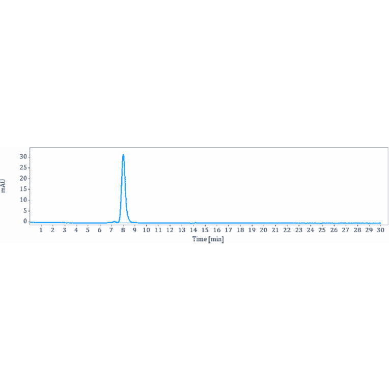 SEC-HPLC - Anti-TGF beta 1 Antibody [M7824] - Low endotoxin, Azide free (A324254) - Antibodies.com