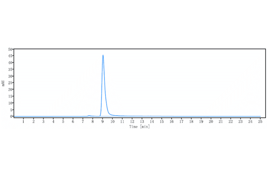 SEC-HPLC - Anti-TGF beta 3 Antibody [Research Grade Biosimilar] - Low endotoxin, Azide free (A324257) - Antibodies.com