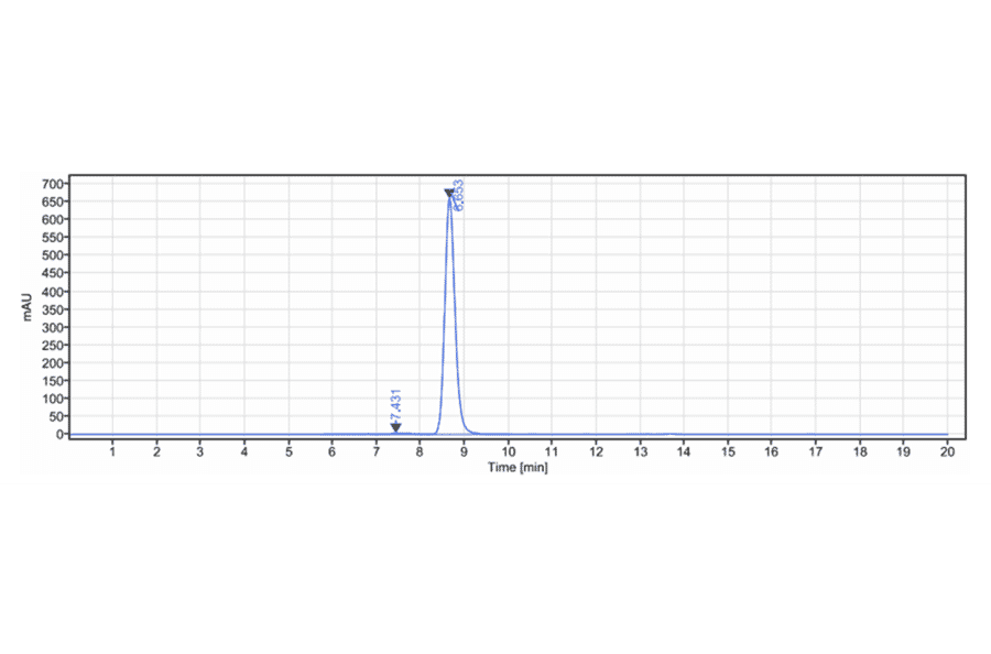 SEC-HPLC - Anti-TGF beta Receptor II Antibody [LY3022859] - Low endotoxin, Azide free (A324258) - Antibodies.com
