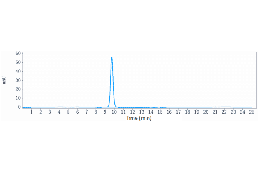 SEC-HPLC - Anti-TLR3 Antibody [CNTO5429] - Low endotoxin, Azide free (A324262) - Antibodies.com