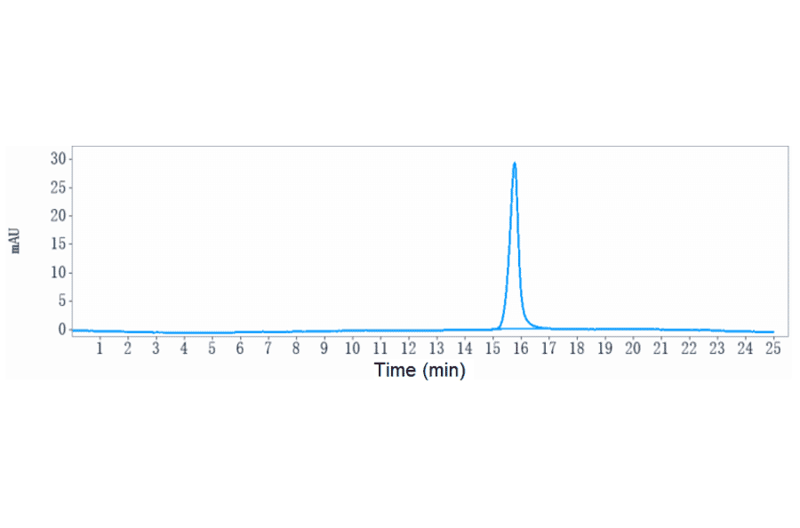 SEC-HPLC - Anti-TMEFF1/Tomoregulin-1 Antibody [Research Grade Biosimilar] - Low endotoxin, Azide free (A324264) - Antibodies.com