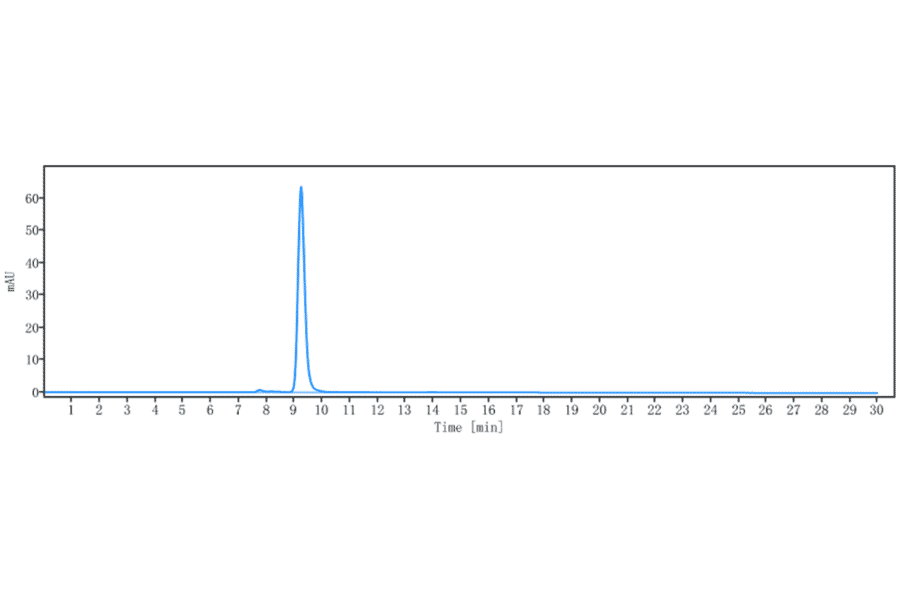 SEC-HPLC - Anti-TMEFF2/Tomoregulin-2 Antibody [Research Grade Biosimilar] - Low endotoxin, Azide free (A324265) - Antibodies.com