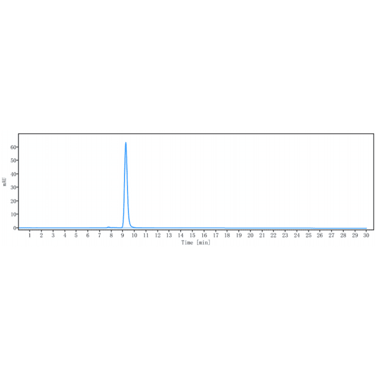 SEC-HPLC - Anti-TMEFF2/Tomoregulin-2 Antibody [Research Grade Biosimilar] - Low endotoxin, Azide free (A324265) - Antibodies.com