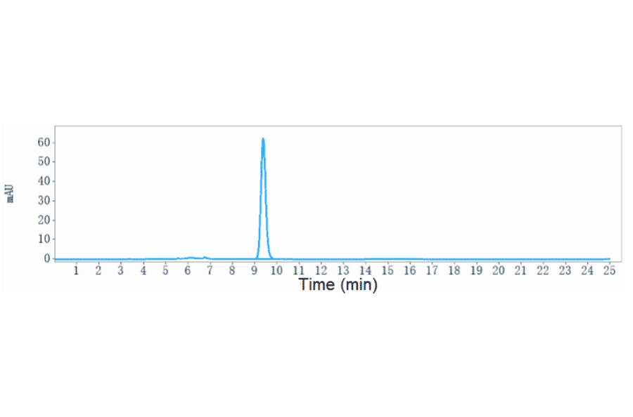 SEC-HPLC - Anti-TMPRSS2 Antibody [Research Grade Biosimilar] - Low endotoxin, Azide free (A324267) - Antibodies.com