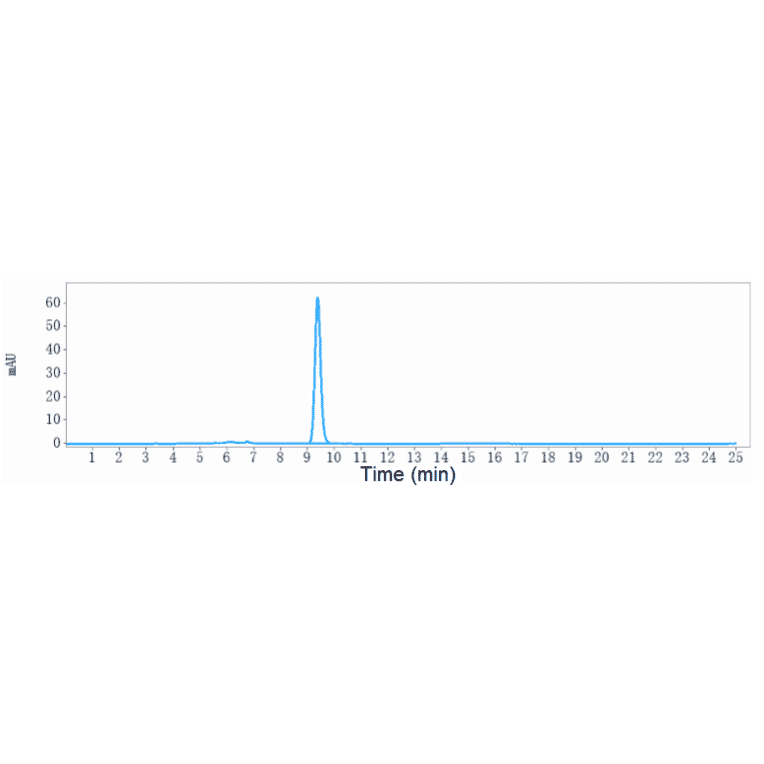 SEC-HPLC - Anti-TMPRSS2 Antibody [Research Grade Biosimilar] - Low endotoxin, Azide free (A324267) - Antibodies.com