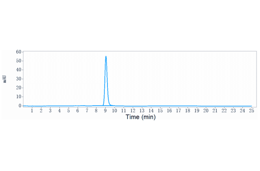 SEC-HPLC - Anti-TNF alpha Antibody [Research Grade Biosimilar] - Low endotoxin, Azide free (A324268) - Antibodies.com