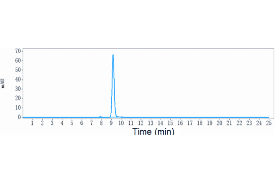 SEC-HPLC - Anti-Transmembrane 4 L6 Family Member 1 Antibody [Research Grade Biosimilar] - Low endotoxin, Azide free (A324277) - Antibodies.com