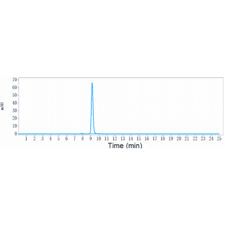 SEC-HPLC - Anti-Transmembrane 4 L6 Family Member 1 Antibody [Research Grade Biosimilar] - Low endotoxin, Azide free (A324277) - Antibodies.com