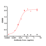 ELISA - Anti-TREM1 Antibody [PY159] - Low endotoxin, Azide free (A324278) - Antibodies.com