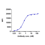 FACS - Anti-TREM1 Antibody [PY159] - Low endotoxin, Azide free (A324278) - Antibodies.com