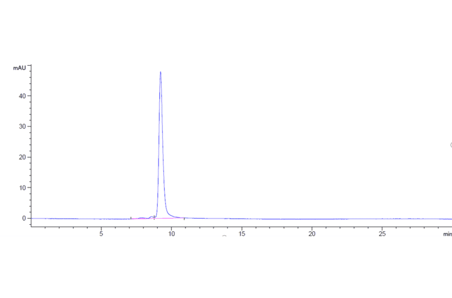 SEC-HPLC - Anti-TREM2 Antibody [PY314] - Low endotoxin, Azide free (A324279) - Antibodies.com