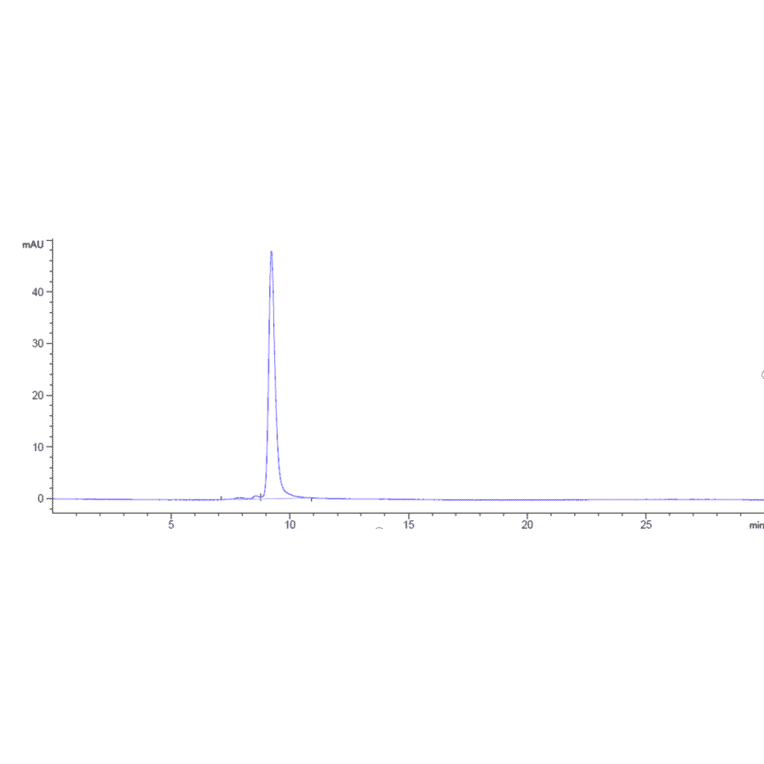 SEC-HPLC - Anti-TREM2 Antibody [PY314] - Low endotoxin, Azide free (A324279) - Antibodies.com