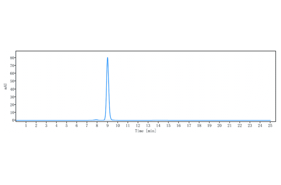 SEC-HPLC - Anti-TSH Receptor/TSH-R Antibody [K1-70] - Low endotoxin, Azide free (A324282) - Antibodies.com