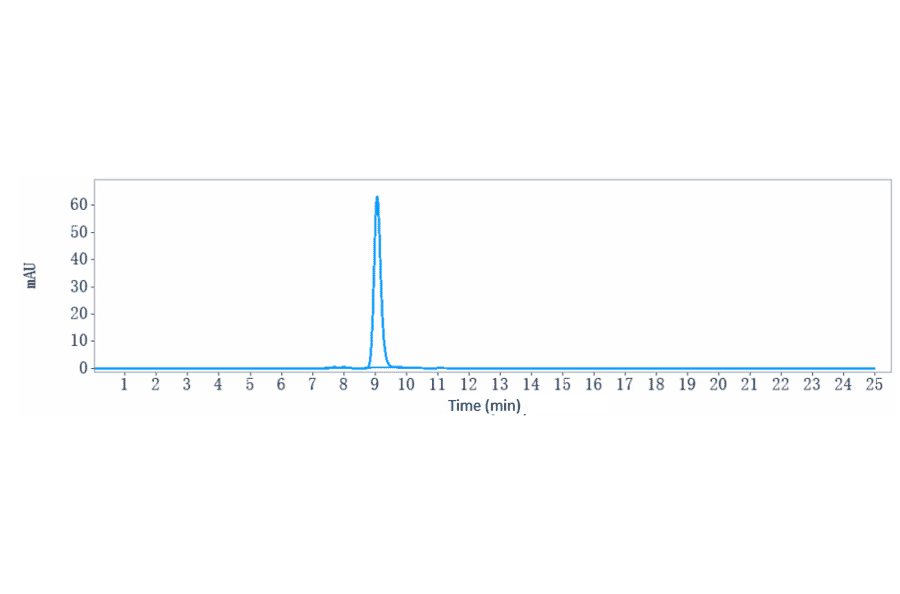 SEC-HPLC - Anti-TYRO3 Antibody [ELB031] - Low endotoxin, Azide free (A324286) - Antibodies.com