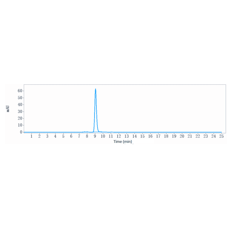 SEC-HPLC - Anti-TYRO3 Antibody [ELB031] - Low endotoxin, Azide free (A324286) - Antibodies.com