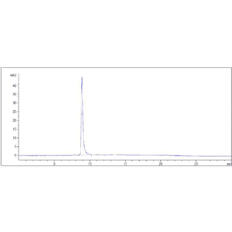 SEC-HPLC - Anti-VEGF Receptor 1 Antibody [Research Grade Biosimilar] - Low endotoxin, Azide free (A324288) - Antibodies.com