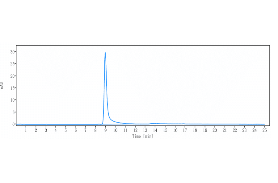 SEC-HPLC - Anti-VEGFB Antibody [CSL346] - Low endotoxin, Azide free (A324293) - Antibodies.com