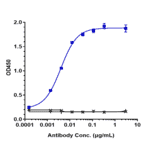 ELISA - Anti-VEGFC Antibody [VGX100] - Low endotoxin, Azide free (A324294) - Antibodies.com