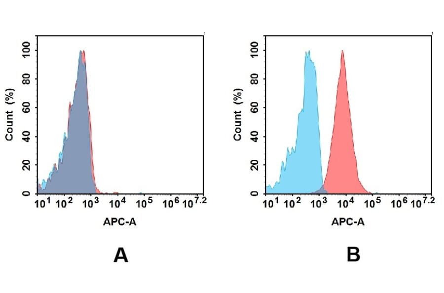 Flow Cytometry - Anti-CD93 Antibody [5B10] - BSA and Azide free (A324635) - Antibodies.com