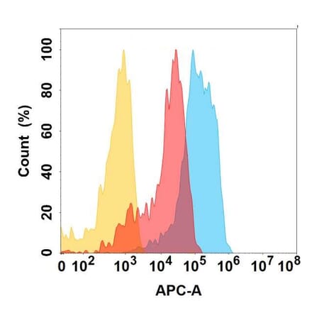 Flow Cytometry - Anti-CD98 Antibody [2H8] - BSA and Azide free (A324636) - Antibodies.com