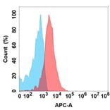 Flow Cytometry - Anti-Flt3/CD135 Antibody [19A5] - BSA and Azide free (A324645) - Antibodies.com