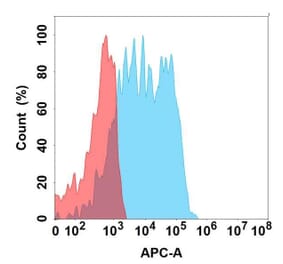 Flow Cytometry - Anti-GPNMB Antibody [11G4] - BSA and Azide free (A324649) - Antibodies.com