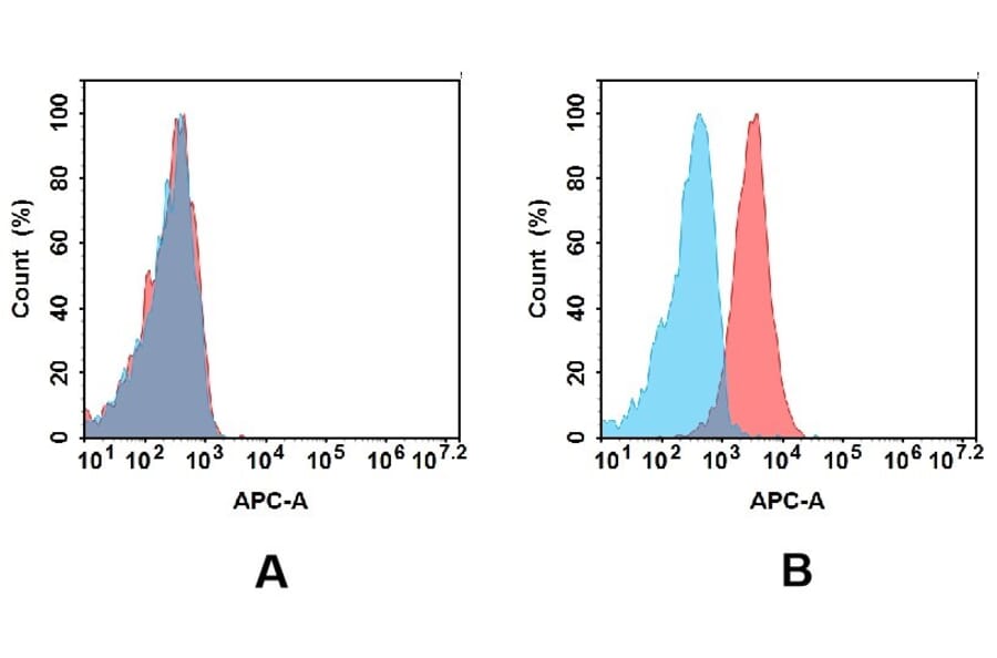 Flow Cytometry - Anti-LY75/DEC-205 Antibody [1D4] - BSA and Azide free (A324653) - Antibodies.com