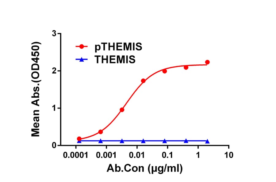 ELISA - Anti-pThemis Antibody [4F2] - BSA and Azide free (A324657) - Antibodies.com