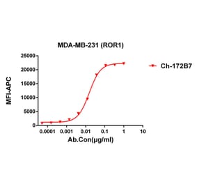 Flow Cytometry - Anti-ROR1 Antibody [172B7] - BSA and Azide free (A324659) - Antibodies.com