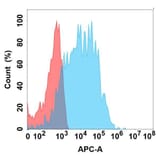 Flow Cytometry - Anti-Sez6 Antibody [31A10] - BSA and Azide free (A324660) - Antibodies.com