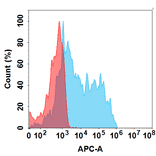 Flow Cytometry - Glembatumumab Biosimilar - Anti-GPNMB Antibody - BSA and Azide free (A324667) - Antibodies.com