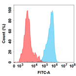 Flow Cytometry - LM305 Biosimilar - Anti-GPCR GPRC5D Antibody - BSA and Azide free (A324680) - Antibodies.com