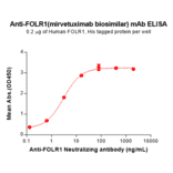 ELISA - Mirvetuximab Biosimilar - Anti-Folate Binding Protein/FBP Antibody - BSA and Azide free (A324683) - Antibodies.com