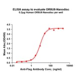 ELISA - Synthetic Nanodisc Human OR8U8 Protein (A324828) - Antibodies.com