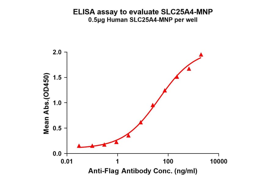 ELISA - Synthetic Virus-like Particle Human SLC25A4 Protein (A324848) - Antibodies.com