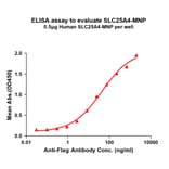 ELISA - Synthetic Virus-like Particle Human SLC25A4 Protein (A324848) - Antibodies.com
