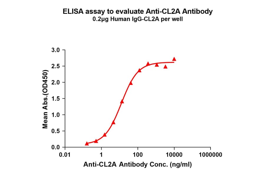 ELISA - Anti-CL2A Antibody [1G9] - BSA and Azide free (A324858) - Antibodies.com