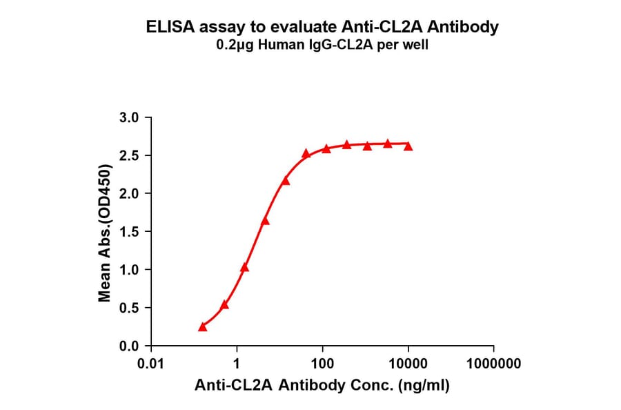 ELISA - Anti-CL2A Antibody [1H2] - BSA and Azide free (A324859) - Antibodies.com