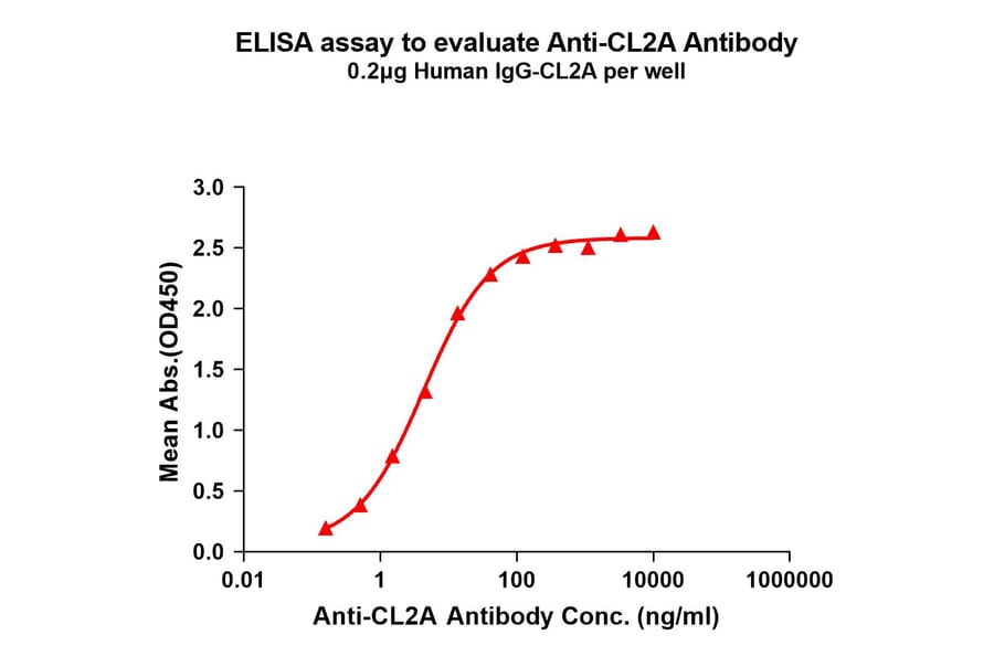 ELISA - Anti-CL2A Antibody [1H6] - BSA and Azide free (A324860) - Antibodies.com