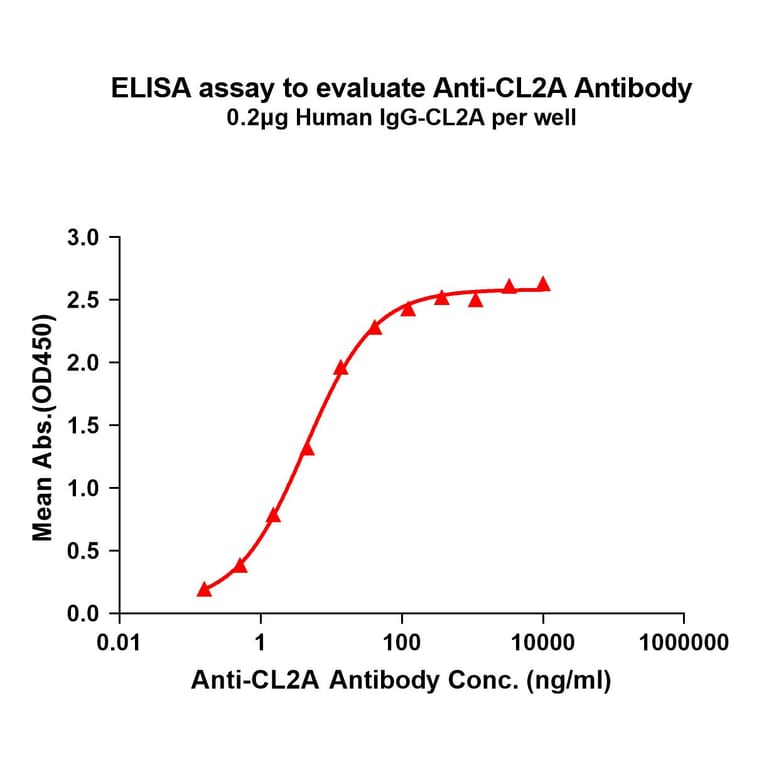 ELISA - Anti-CL2A Antibody [1H6] - BSA and Azide free (A324860) - Antibodies.com