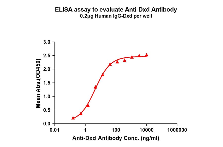 ELISA - Anti-Dxd Antibody [1A1] - BSA and Azide free (A324861) - Antibodies.com