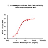 ELISA - Anti-Dxd Antibody [1A1] - BSA and Azide free (A324861) - Antibodies.com