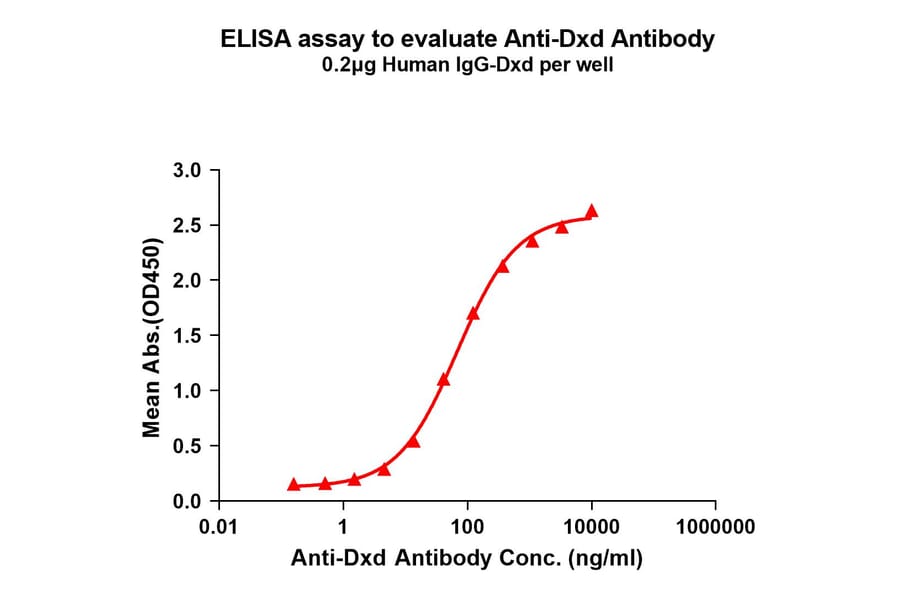 ELISA - Anti-Dxd Antibody [1E6] - BSA and Azide free (A324864) - Antibodies.com
